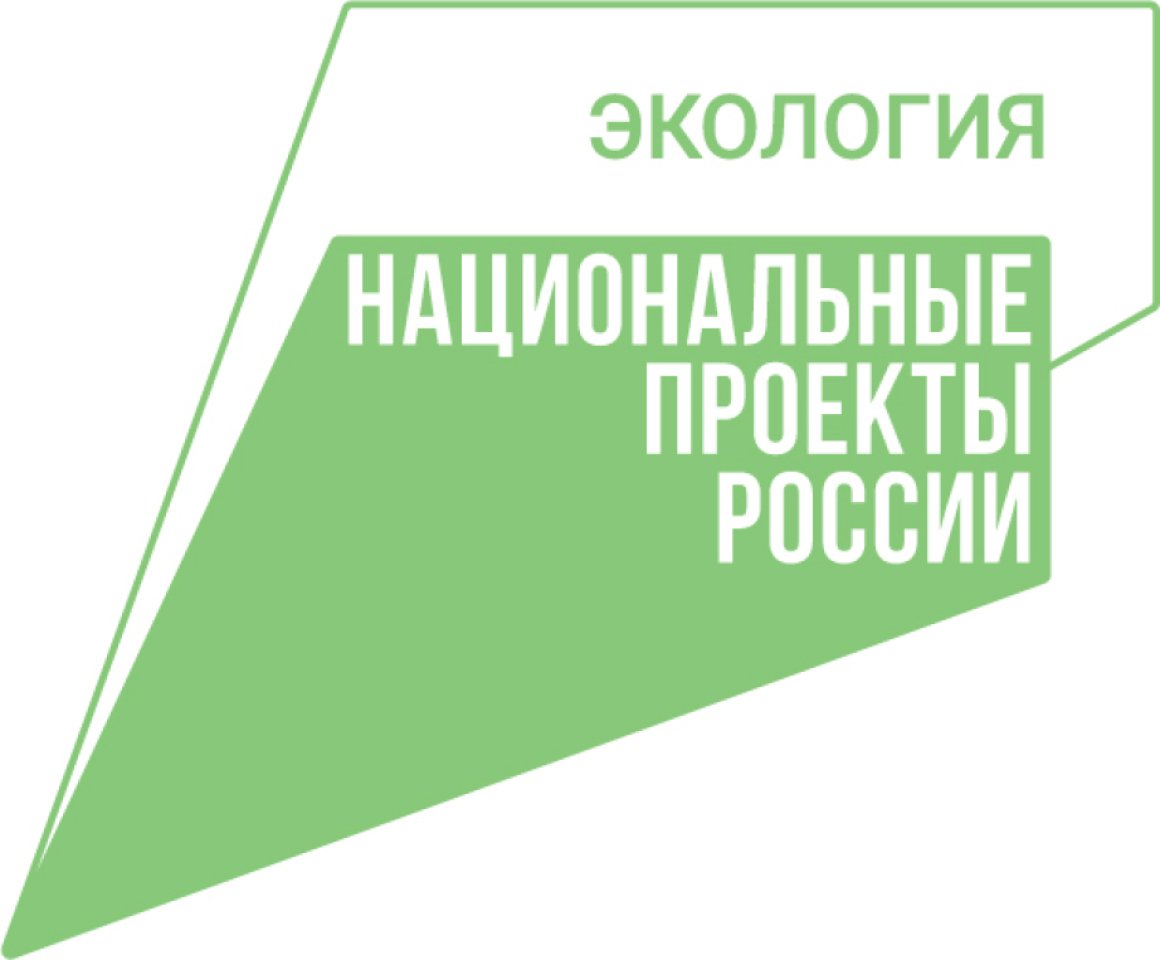 Регоператор по обращению с ТКО установит емкости для сбора елок в Хабаровске