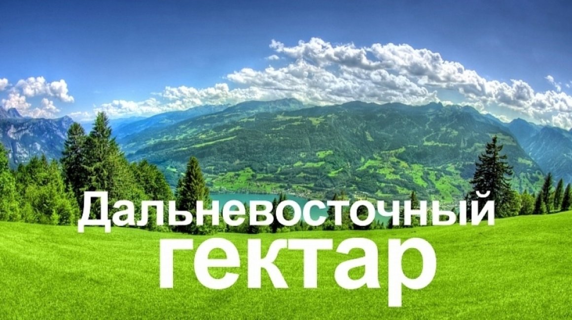 Более чем на 1 тысячу выросло число собственников ДВ-гектара в Хабаровском крае