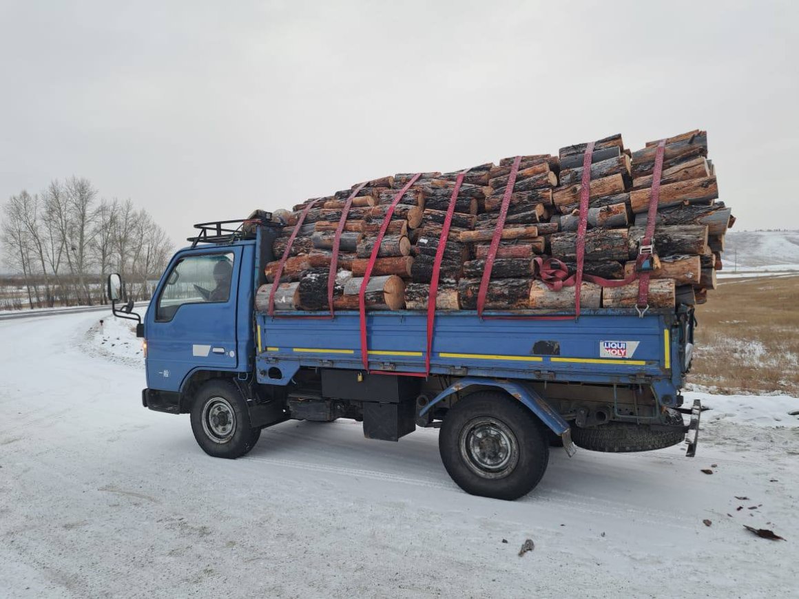 Забайкальцев поймали на незаконной рубке и продаже деревьев