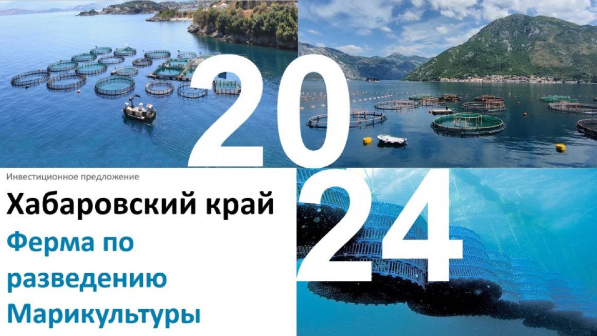 Еще одна ниша для инвесторов: производством марикультуры предлагают заняться бизнесу в Хабаровском крае