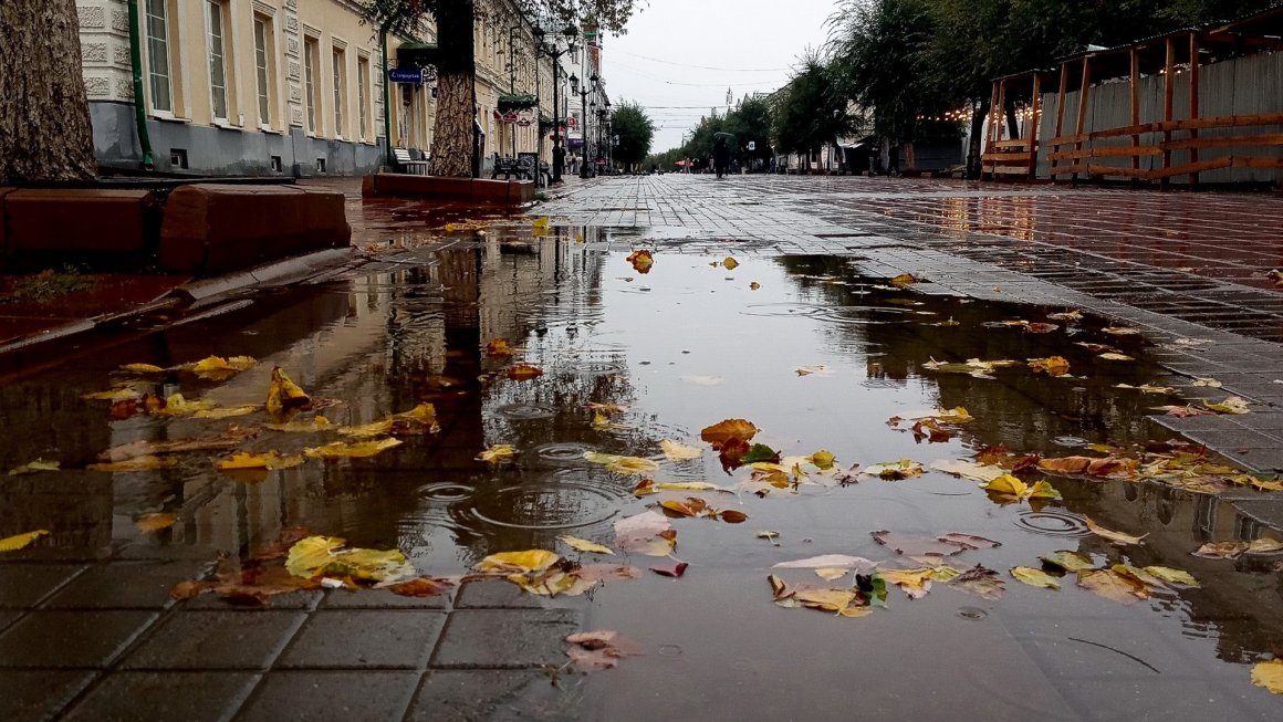 Первое сентября окажется дождливым в Приморье