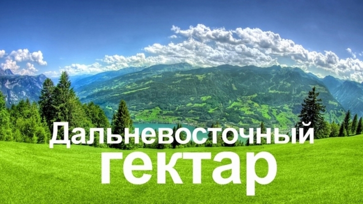 Есть один - будет второй: С августа для всех владельцев «Дальневосточных гектаров» было подготовлено нововведение