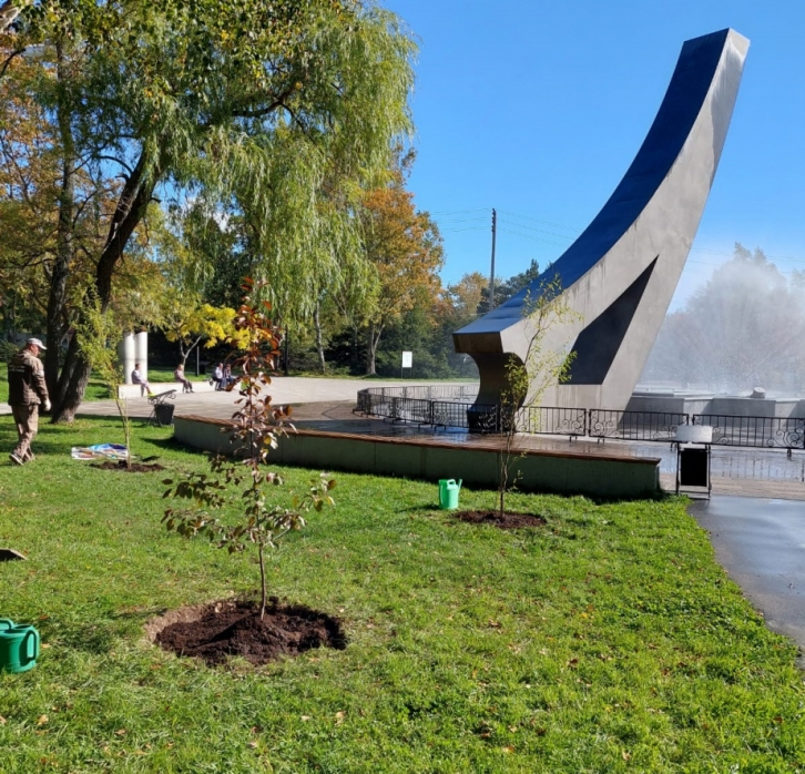 Журналисты Хабаровского края "закедрили" Сахалин