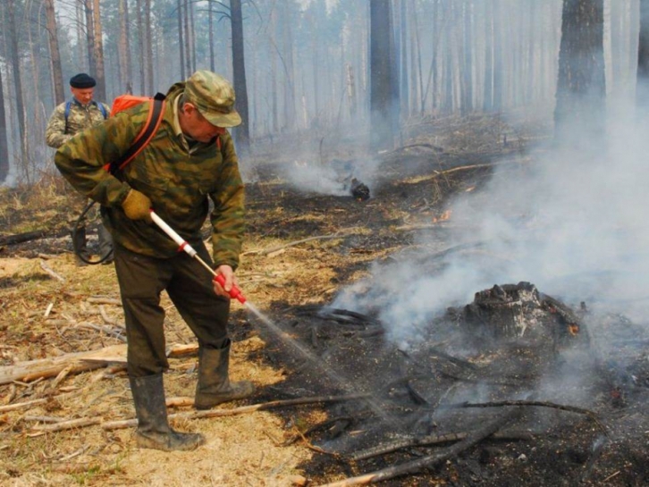 В Хабаровском крае борются с очагами возгораний в лесах