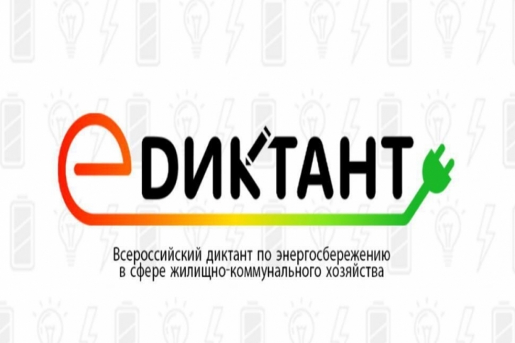 Жители Хабаровского края поучаствовали в «E-Диктанте»